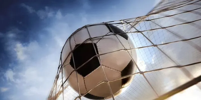 bảng thống kê live các loại kèo rung phổ biến